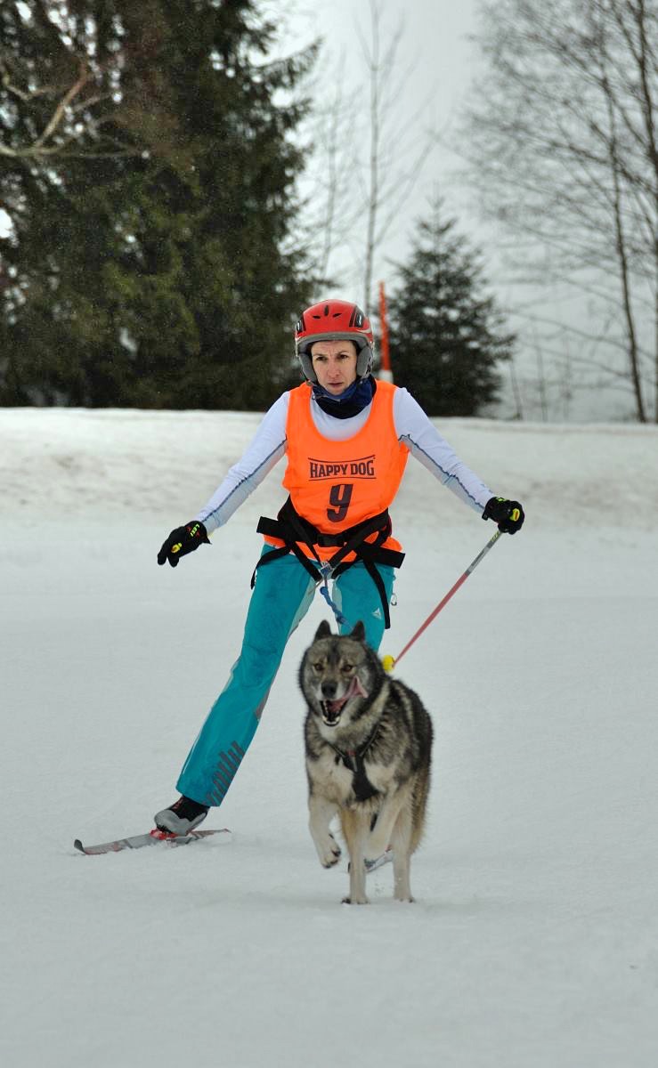 Schlittenhunderennen