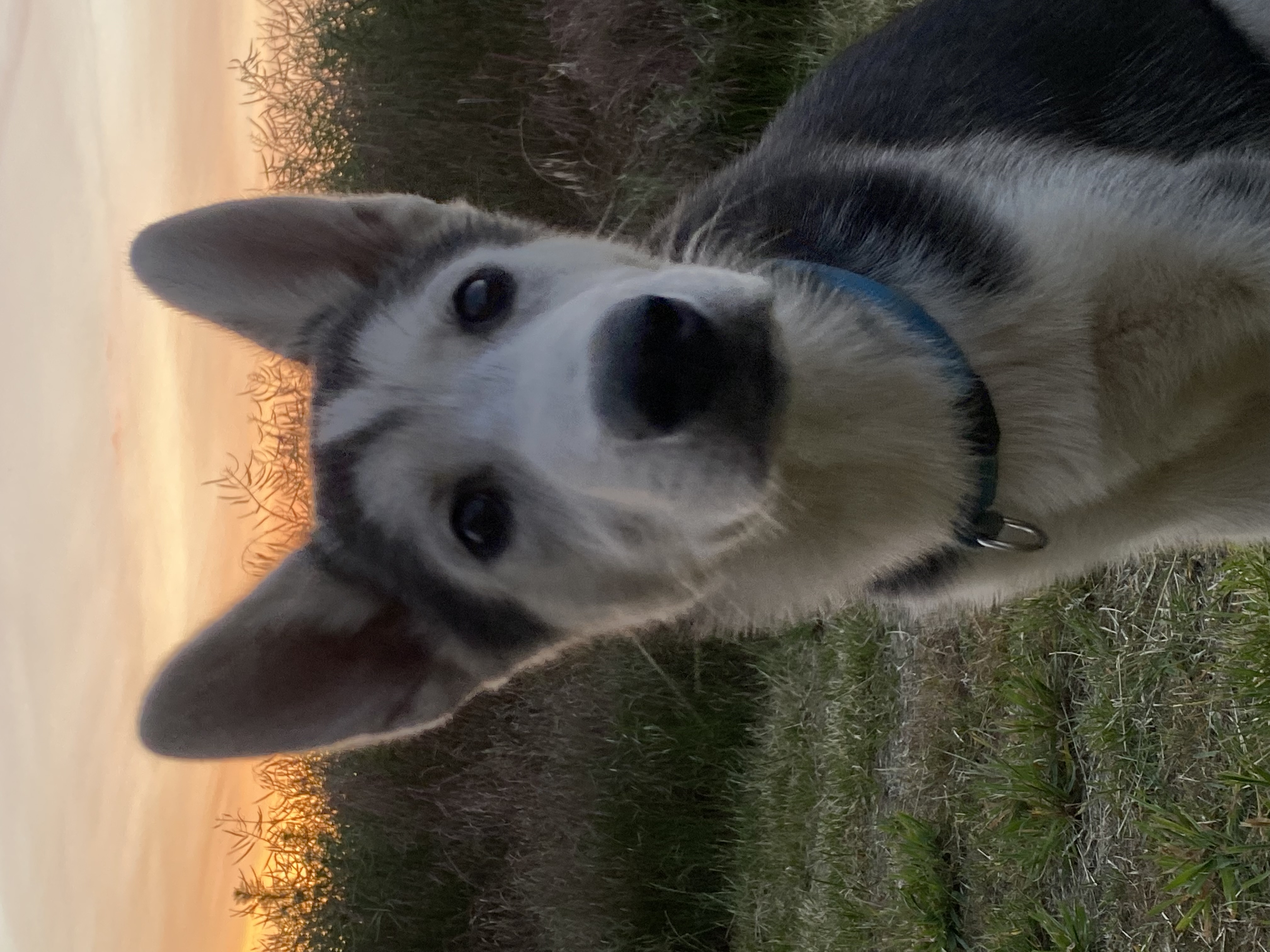 Lumi 3
